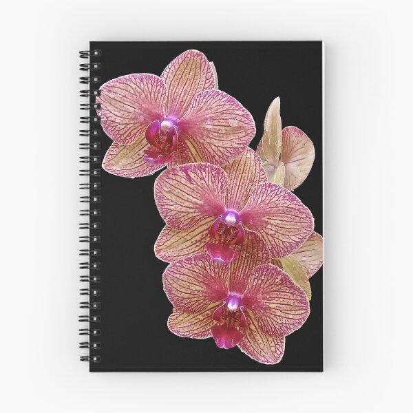 Item preview, Orchid Magic designed and sold by John Thurgood.