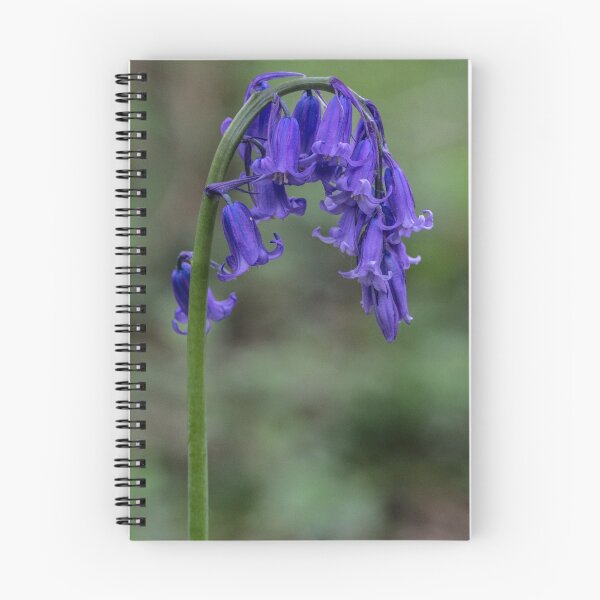 Item preview, Pretty Bluebell Flower designed and sold by Pixie Copley LRPS.