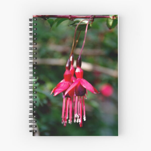 Item preview, Fuchsia (2) designed and sold by lezvee.