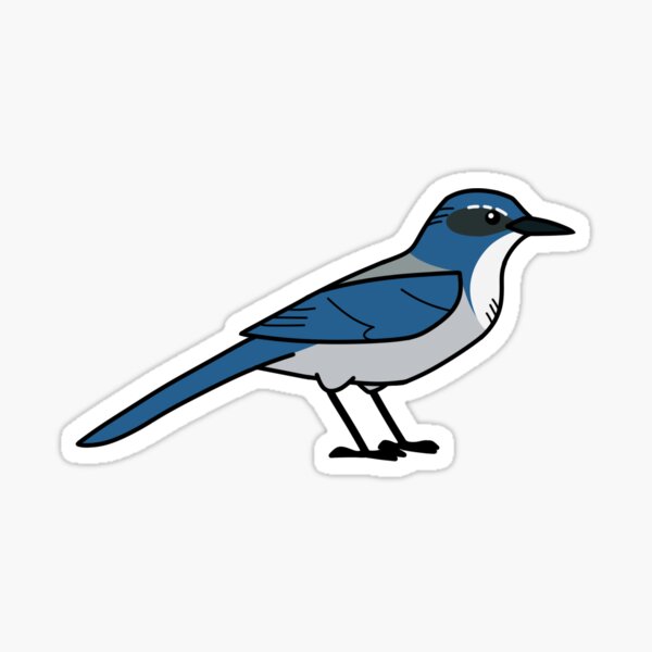 Baby Birdorable: Blue Jay in Baby Birds, Blue Jays, Jays