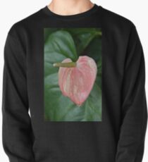Anthurium Pullover