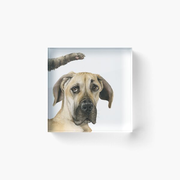 Item preview, Not Again! designed and sold by Tracy Lizotte Studios.