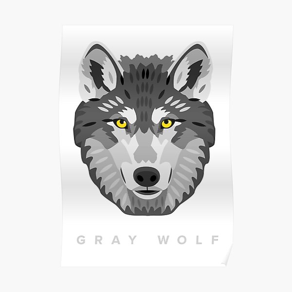 Gray Wolf Poster