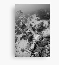 Propellor Canvas Print