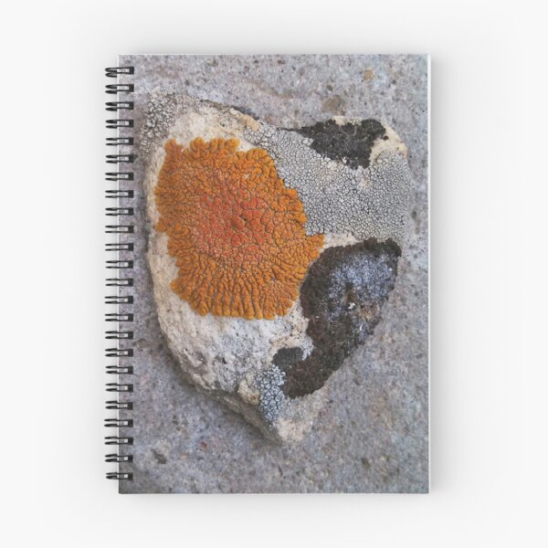 Item preview, Lichen Brindled Heart designed and sold by brusling.
