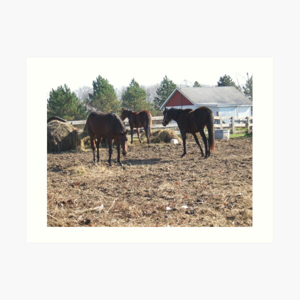 Horses Art Print
