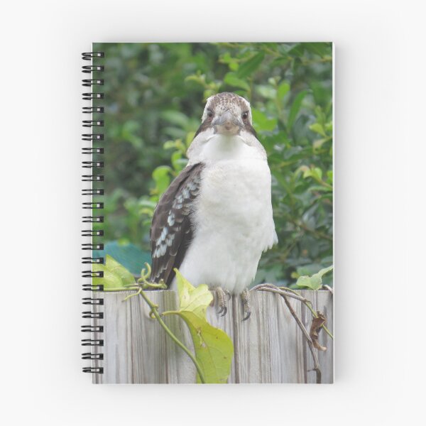 Item preview, Laughing Kookaburra 4 designed and sold by Genevieve Hanlon Art and Photography.