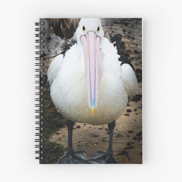 Item preview, Pelican Bill designed and sold by CazEve.