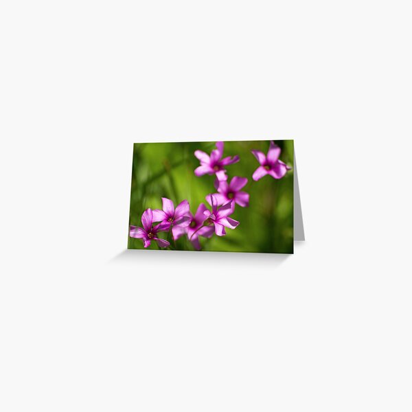 Those Pretty Little Things Greeting Card