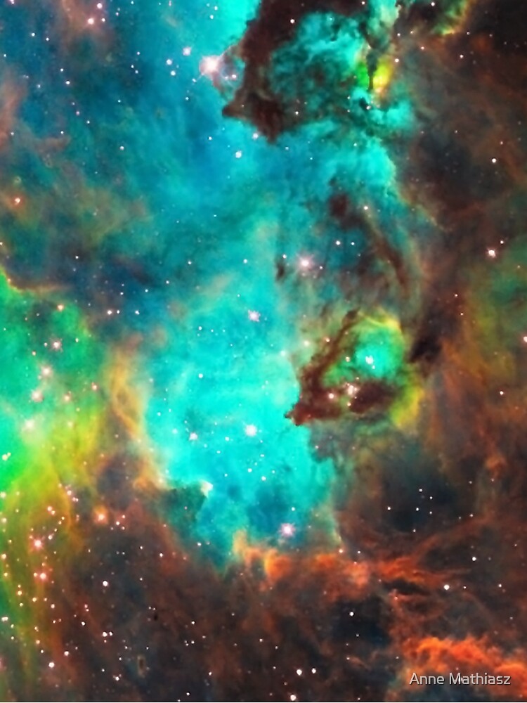 Galaxy / Seahorse / Large Magellanic Cloud / Tarantula Nebula by boom-art