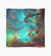 Galaxy / Seahorse / Large Magellanic Cloud / Tarantula Nebula Scarf