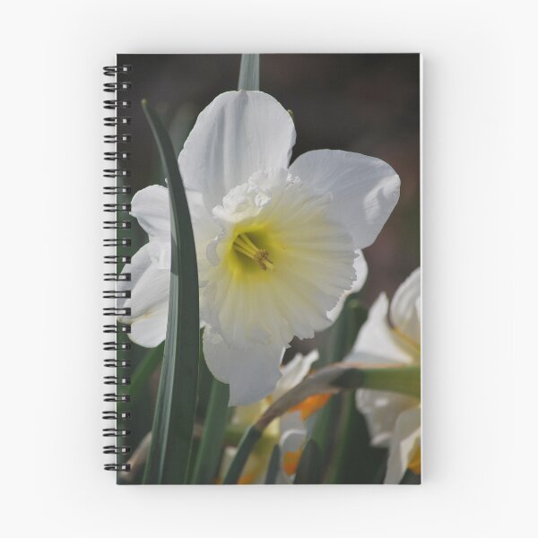 Item preview, Joyful Spring Notes designed and sold by Lozzar Flowers & Art.