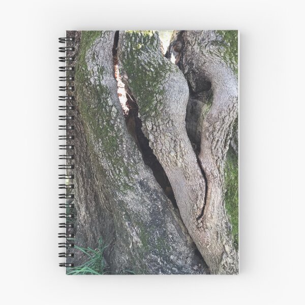 Item preview, One Tree in Three designed and sold by Cynthia  Soucy.