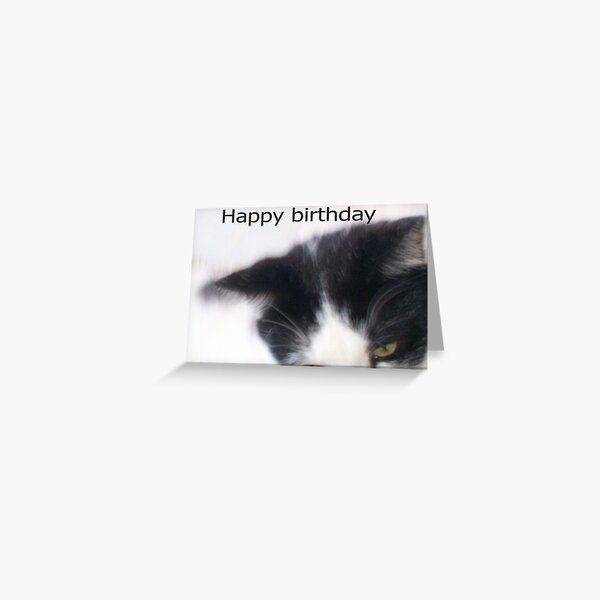 Item preview, cats eyes birthday card designed and sold by Profo Folia.