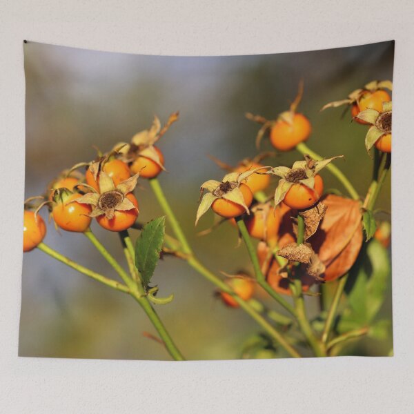 Item preview, Rose Hips in Autumn designed and sold by cuprum.