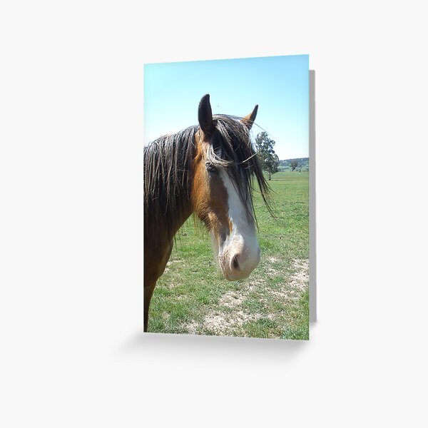 Introducing Ralph Greeting Card