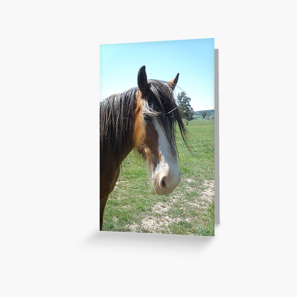 Item preview, Greeting Card designed and sold by windana1.