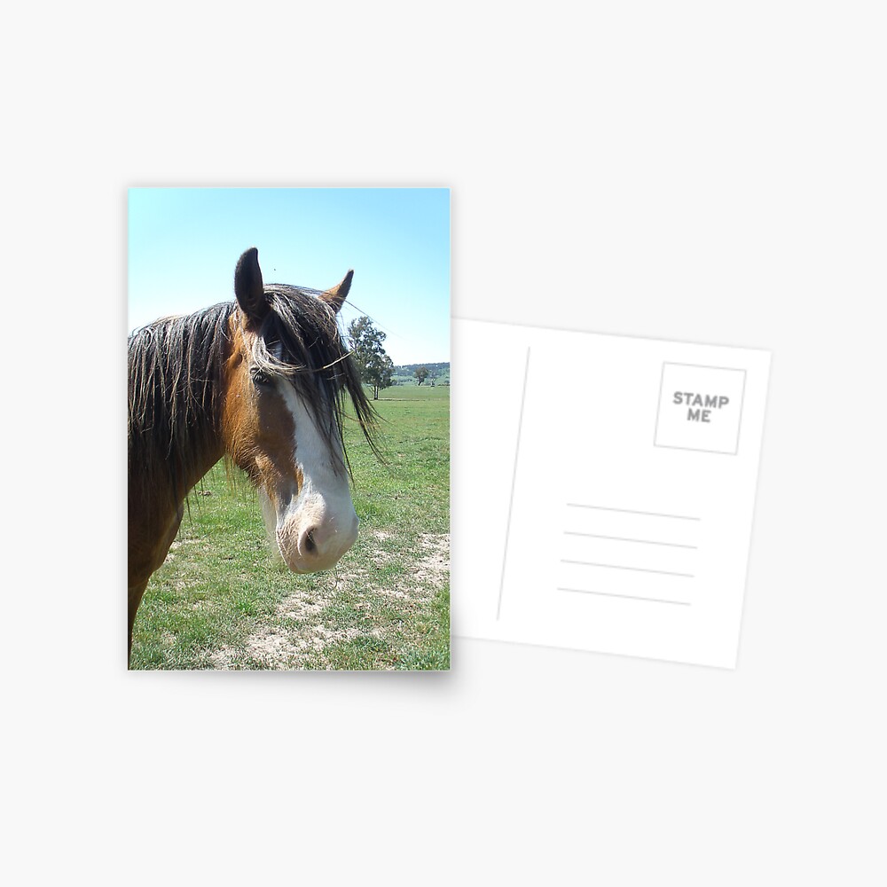 Item preview, Postcard designed and sold by windana1.