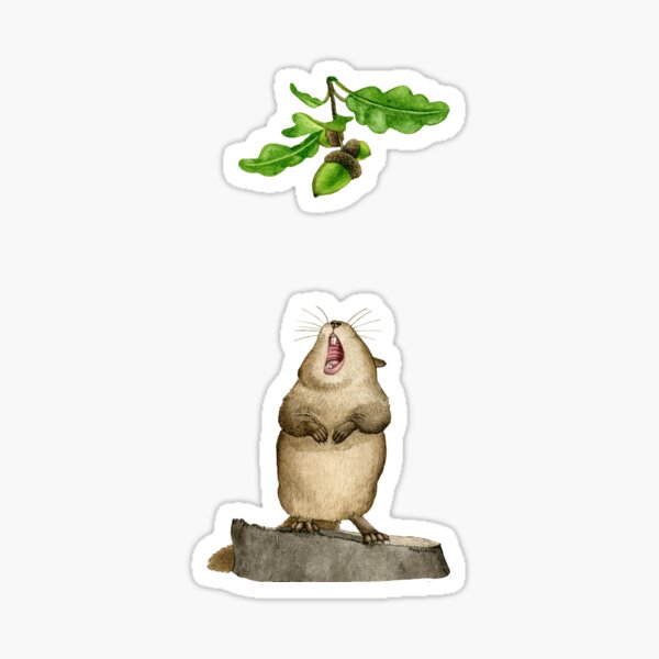Yummy Acorn Sticker