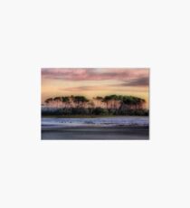 Sunrise at Waites Island Art Board