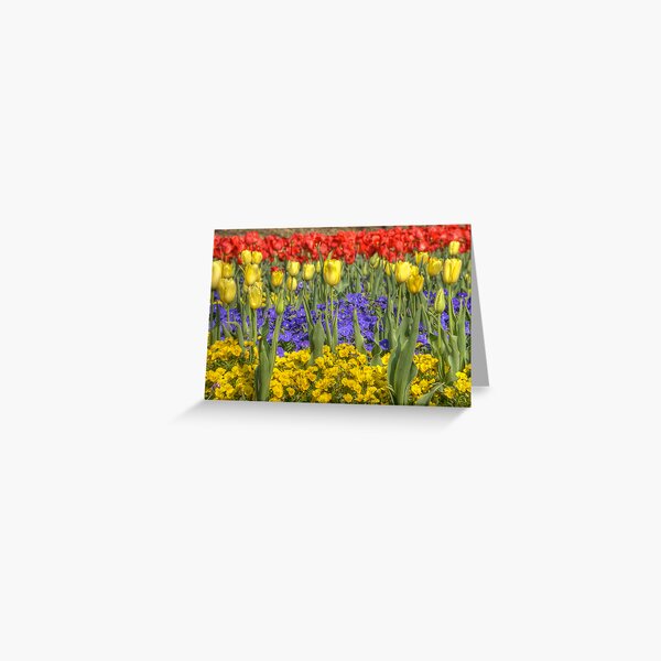 ALL IN A ROW Greeting Card