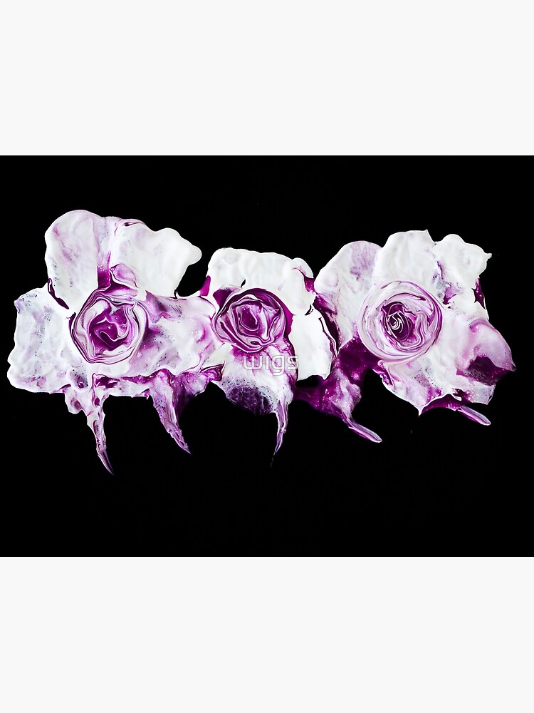 roses are ... purple by wigs