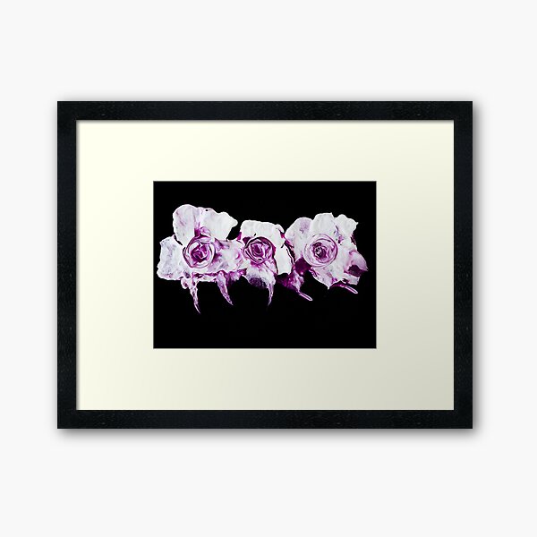 roses are ... purple Framed Art Print