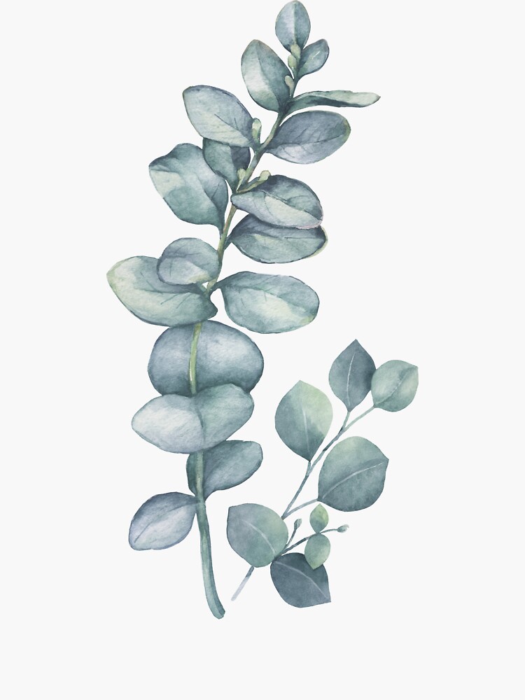 Eucalyptus Twig by LotusPrintShop