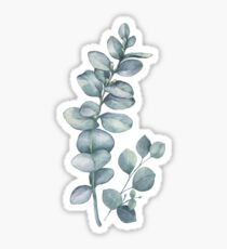 Branche d'eucalyptus Sticker