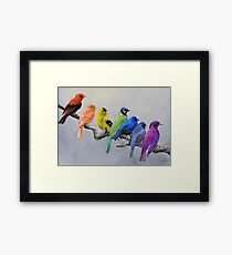 Birds of all Colors Framed Print