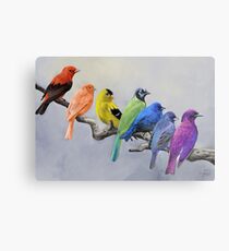 Birds of all Colors Metal Print