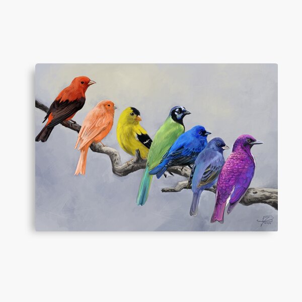 Birds of all Colors Canvas Print