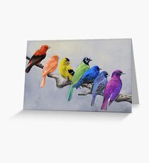 Vögel aller Farben Grußkarte