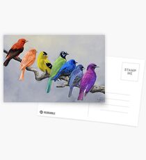 Vögel aller Farben Postkarten