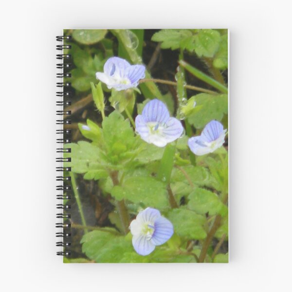 Item preview, Tiny Blooms of Speedwell designed and sold by Navigator.