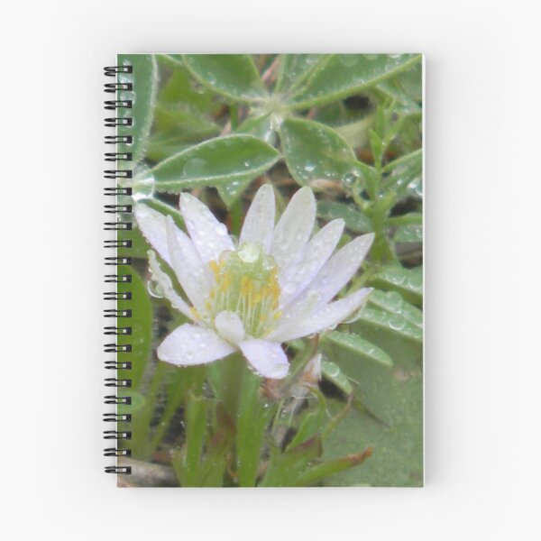 Item preview, Windflower's Watery Crown designed and sold by Navigator.