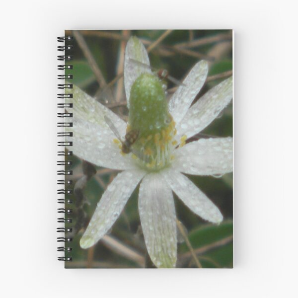 Item preview, Watery Windflower and Caretakers.... designed and sold by Navigator.