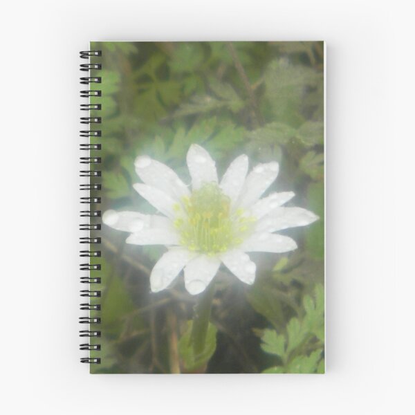Item preview, "Special Effects" Windflower designed and sold by Navigator.