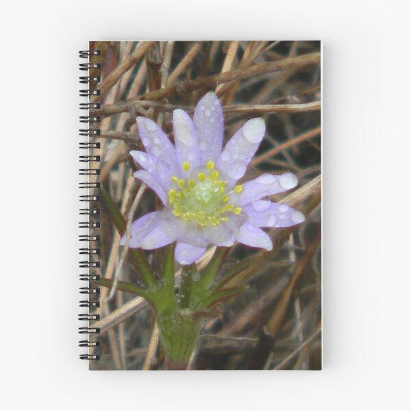 Item preview, Magical Purple Windflower - View Larger designed and sold by Navigator.