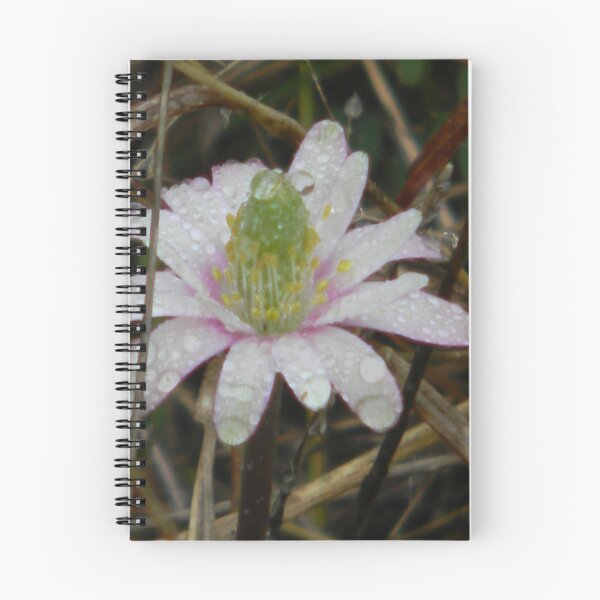 Aperçu de l'œuvre Windflower in Pink créée et vendue par Navigator.