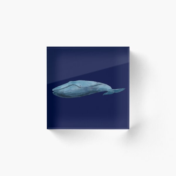 blue whale Acrylic Block