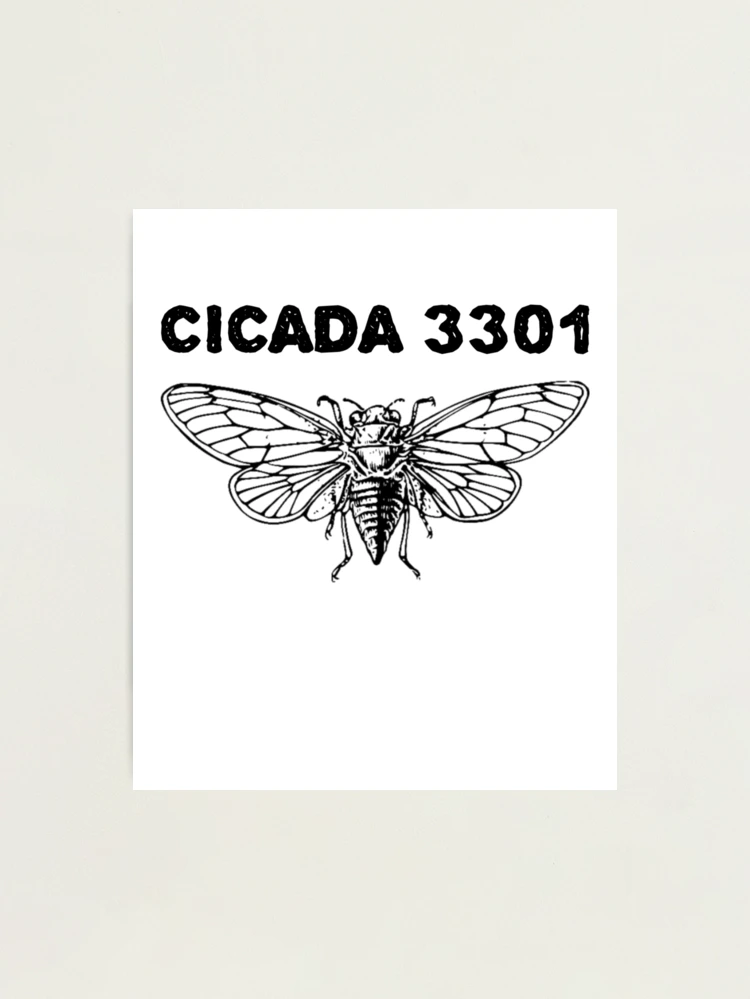 カシワギ Cicada: Solving the Web's Deepest Mystery