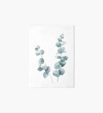 Eucalyptus Leaves Art Board