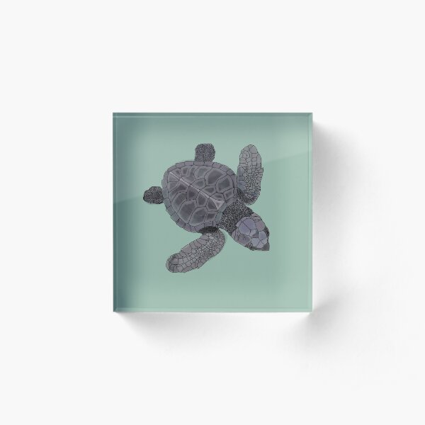 Baby turtle Acrylic Block