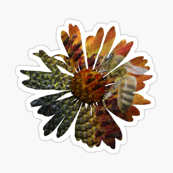 Bild in Bild - Blume mit einer Biene Sticker