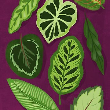 Artwork thumbnail, I Can Beleaf It by jaffajam