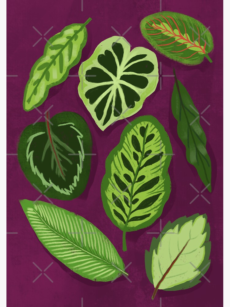 Thumbnail 3 of 3, Sticker, I Can Beleaf It designed and sold by jaffajam.