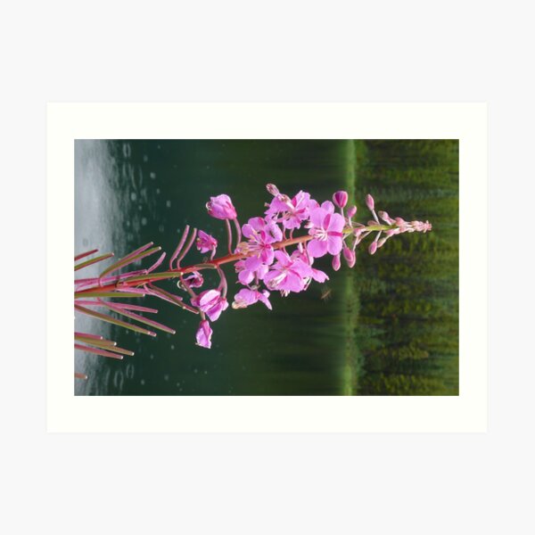 rainy day Art Print