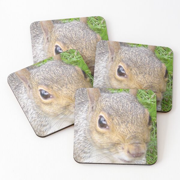 Item preview, Squirrels of Wimbledon 12 - in your face too designed and sold by ellenhenry.