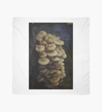 Toadstools Scarf